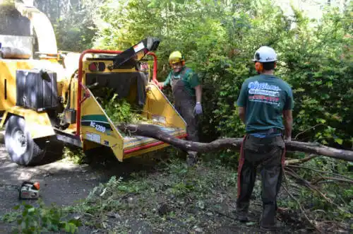 tree services Biola